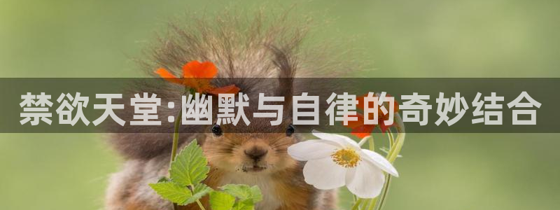 omofun旧版本：禁欲天堂:幽默与自律的奇妙结合