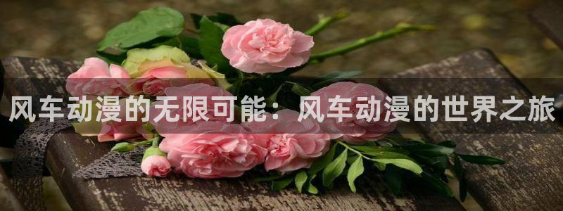 omofun网页版入口分享ios：风车动漫的无限可能：风车动漫的世界之旅