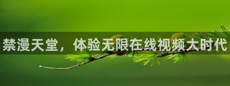 omofun 在线观看：禁漫天堂，体验无限在线视频大时代