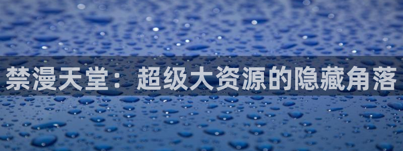 omofun 翻译：禁漫天堂：超级大资源的隐藏角落