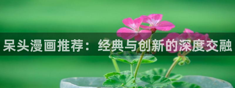 omofun动漫 官网：呆头漫画推荐：经典与创新的深度交融