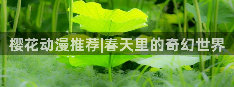 omofun正版官方下载链接：樱花动漫推荐|春天里的奇幻世界