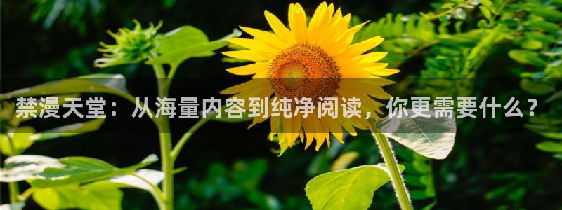 羞羞漫画网页版：禁漫天堂：从海量内容到纯净阅读，你更需要什么？